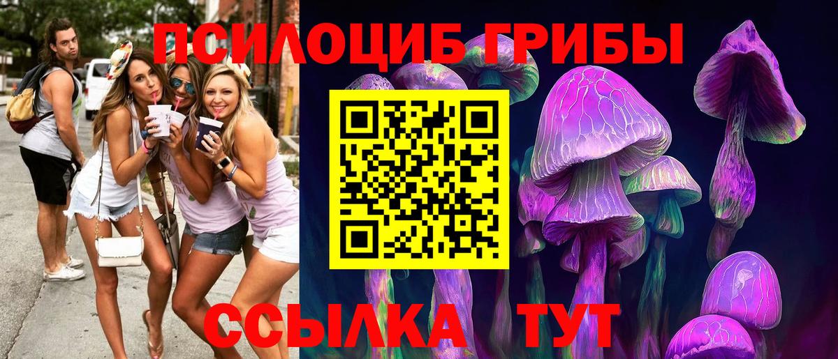 Галлюциногенные грибы Magic Shrooms Магадан