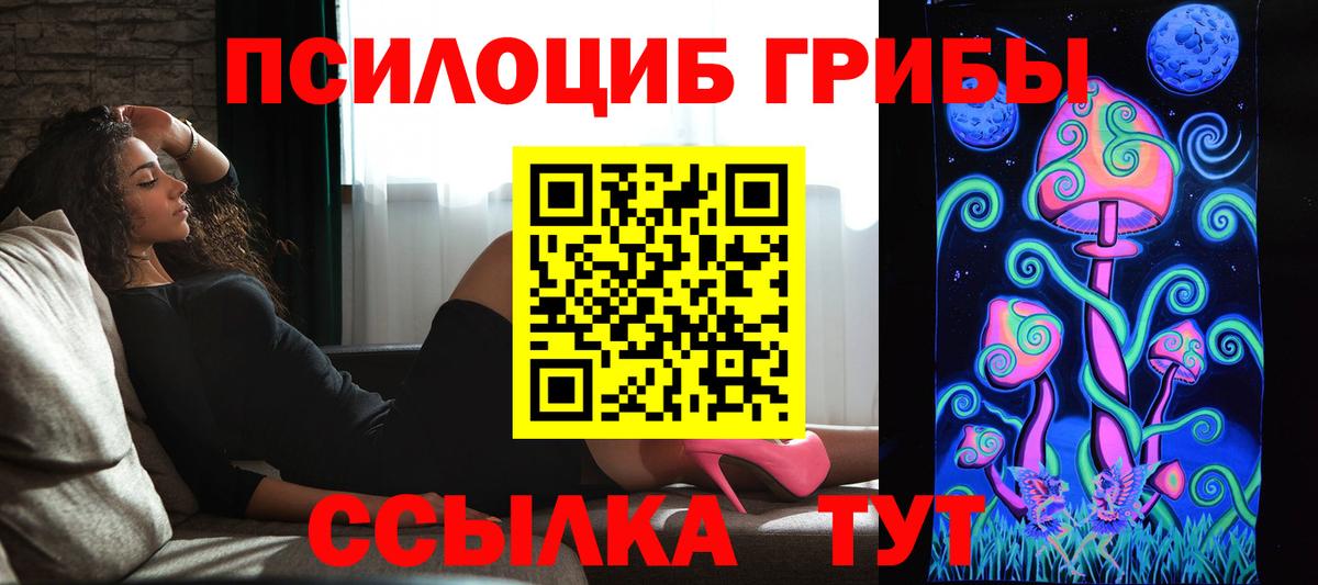 Галлюциногенные грибы мицелий  как найти   Псилоцибиновые грибы MAGIC MUSHROOMS  Магадан  Вход с VPN 